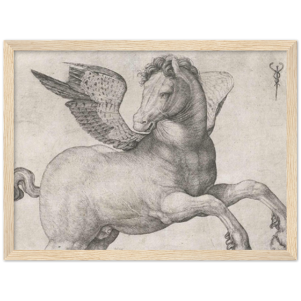 Pegasus - Jacopo de'Barbari | poster | mat papier | houten lijst