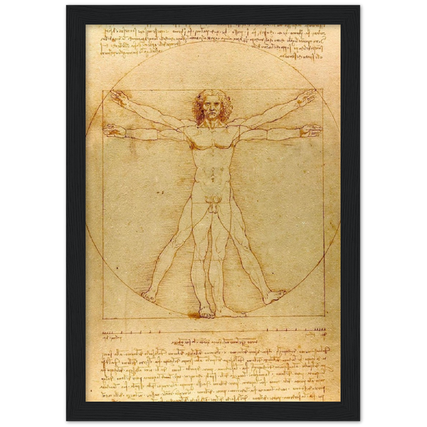 De Vitruviusman - Leonardo da Vinci | poster | mat papier | houten lijst
