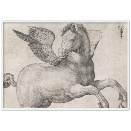 Pegasus - Jacopo de'Barbari | poster | mat papier | houten lijst